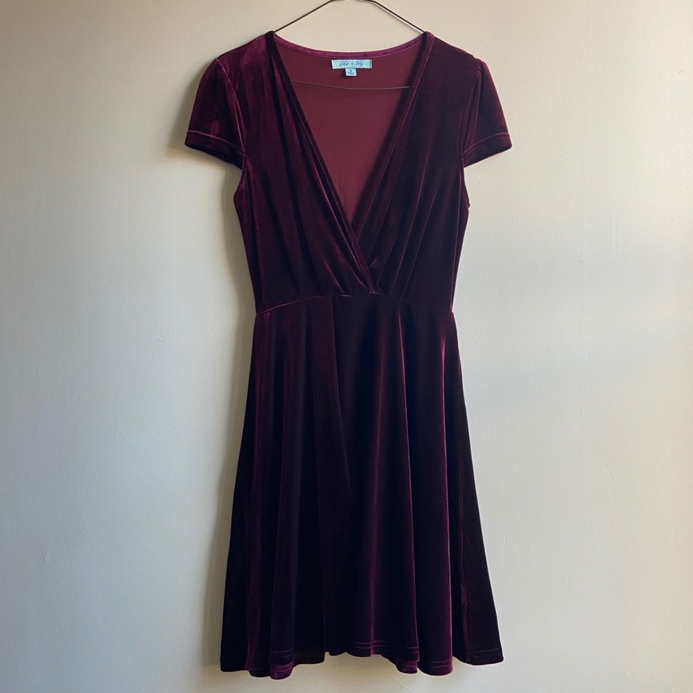 Velvet Dress